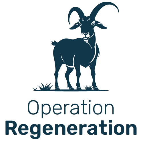 Operation Regeneration